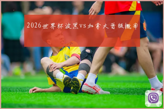 2026世界杯波黑vs加拿大晋级概率