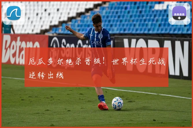 厄瓜多尔绝杀晋级!世界杯生死战逆转出线