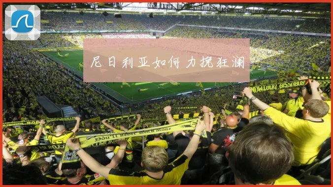 尼日利亚如何力挽狂澜