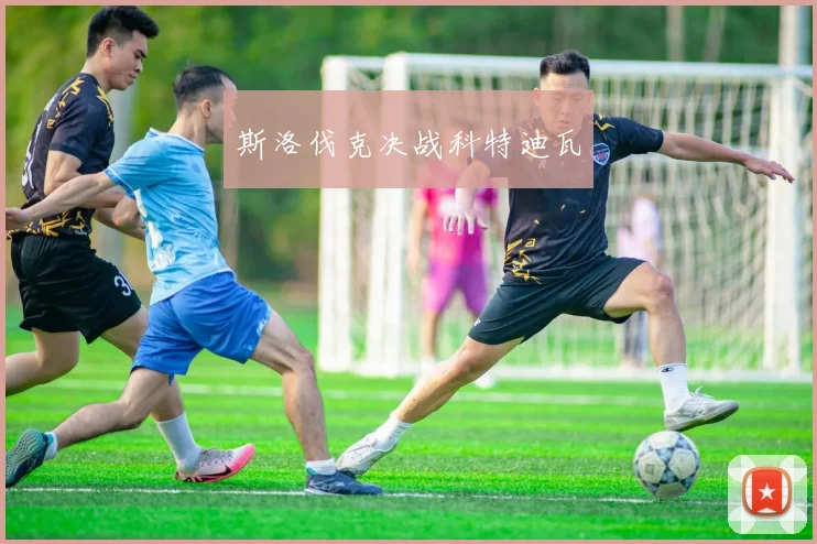 斯洛伐克决战科特迪瓦
