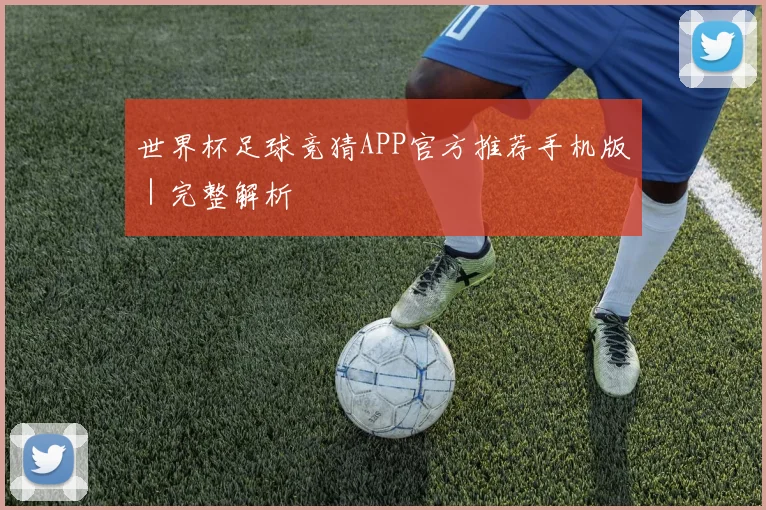 世界杯足球竞猜APP官方推荐手机版|完整解析