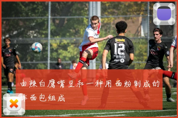 由辣白鹰嘴豆和一种用面粉制成的炸面包组成