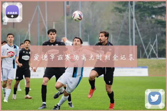 爱德华兹赛场高光时刻全记录