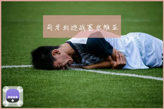 匈牙利迎战塞尔维亚