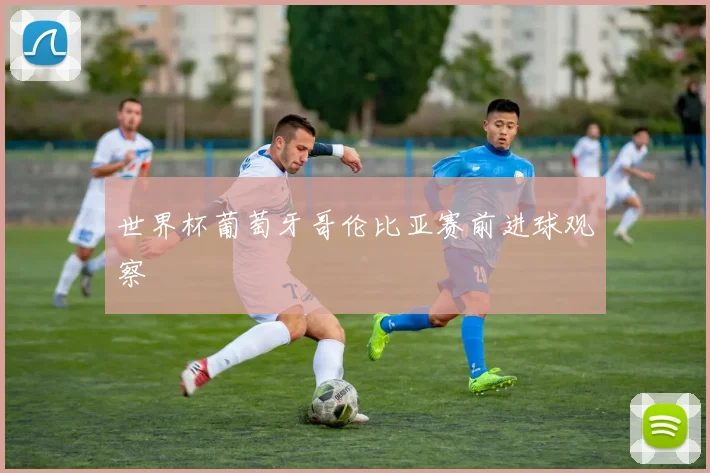 世界杯葡萄牙哥伦比亚赛前进球观察