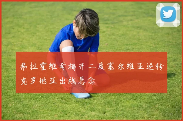 弗拉霍维奇梅开二度塞尔维亚逆转克罗地亚出线悬念
