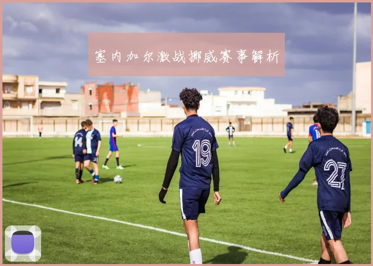 塞内加尔激战挪威赛事解析