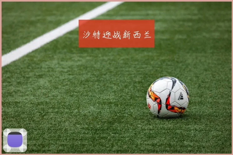 沙特迎战新西兰