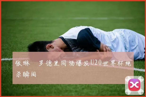 张琳芃罗德里同场爆发U20世界杯绝杀瞬间