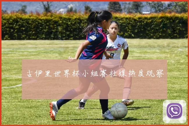 古伊里世界杯小组赛社媒热度观察