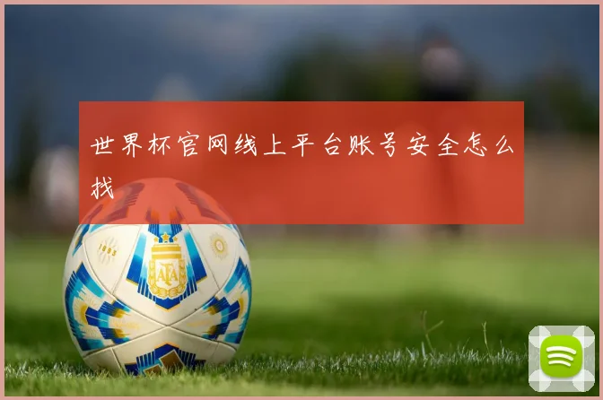 世界杯官网线上平台账号安全怎么找