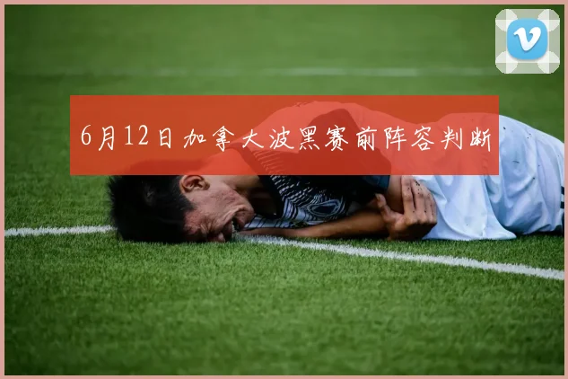 6月12日加拿大波黑赛前阵容判断